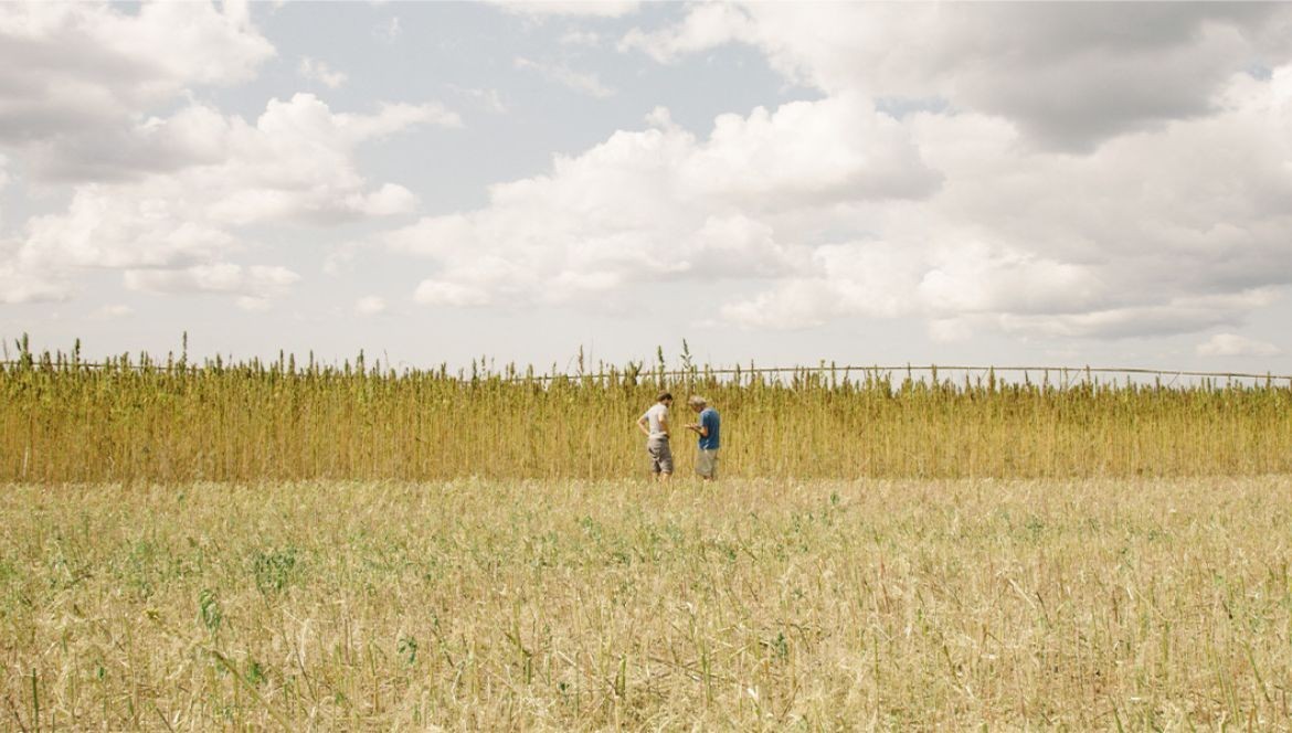 Le Chanvre Nouvelle Révolution Industrielle